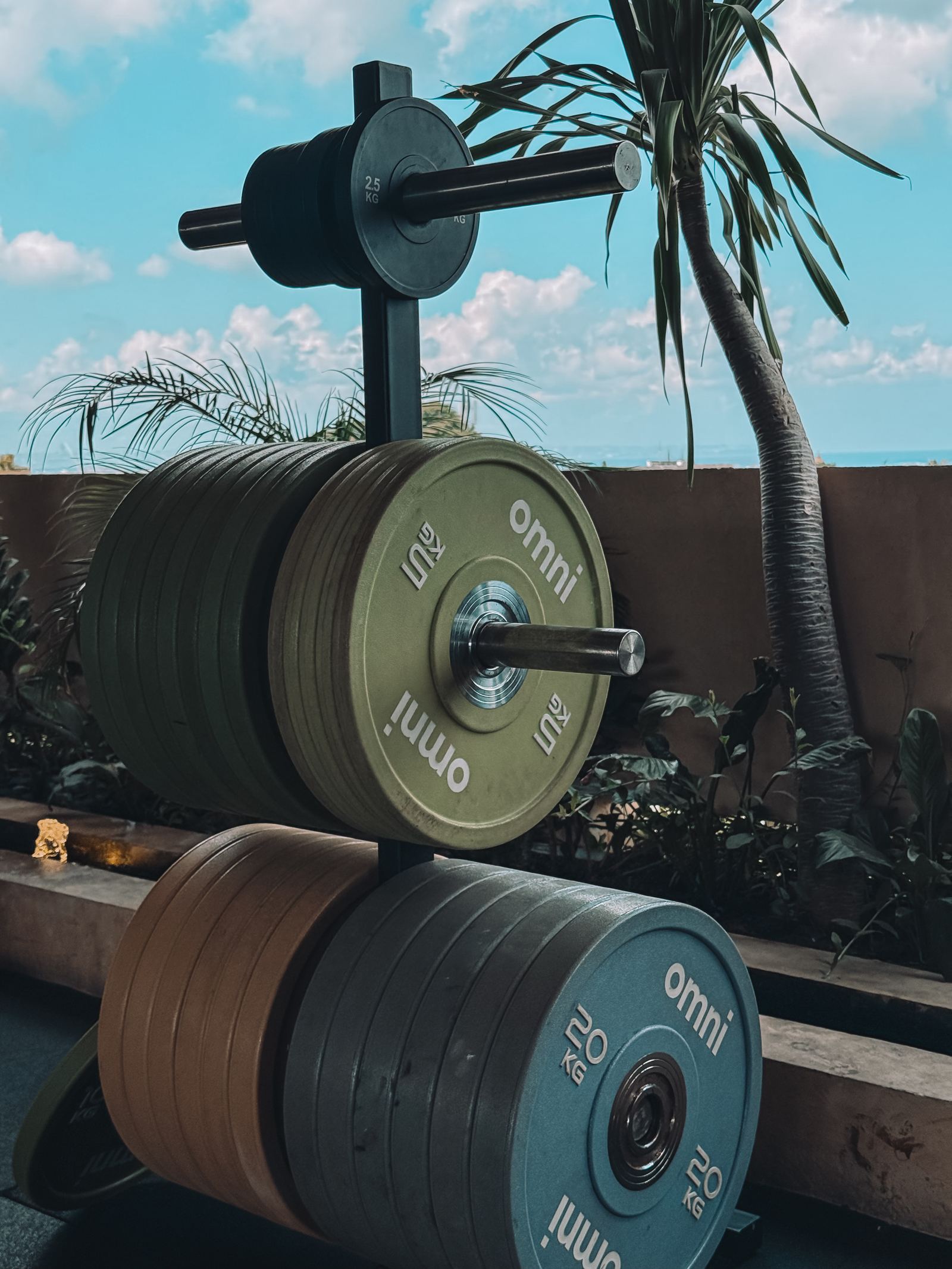 Canggu · Bali · Omni Social Wellness Club, Rooftop Weight Plates