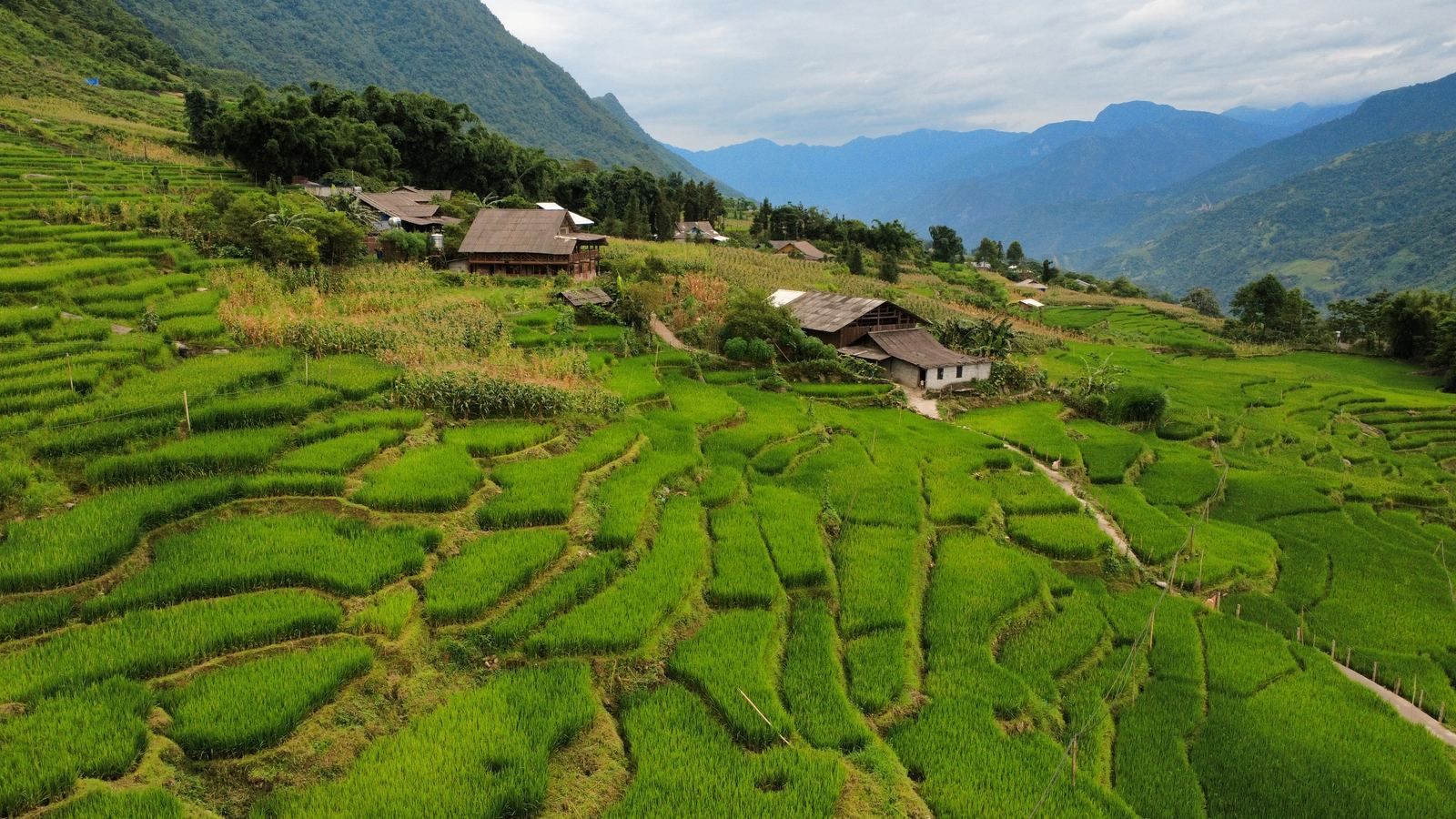 Sapa · Rice Fields