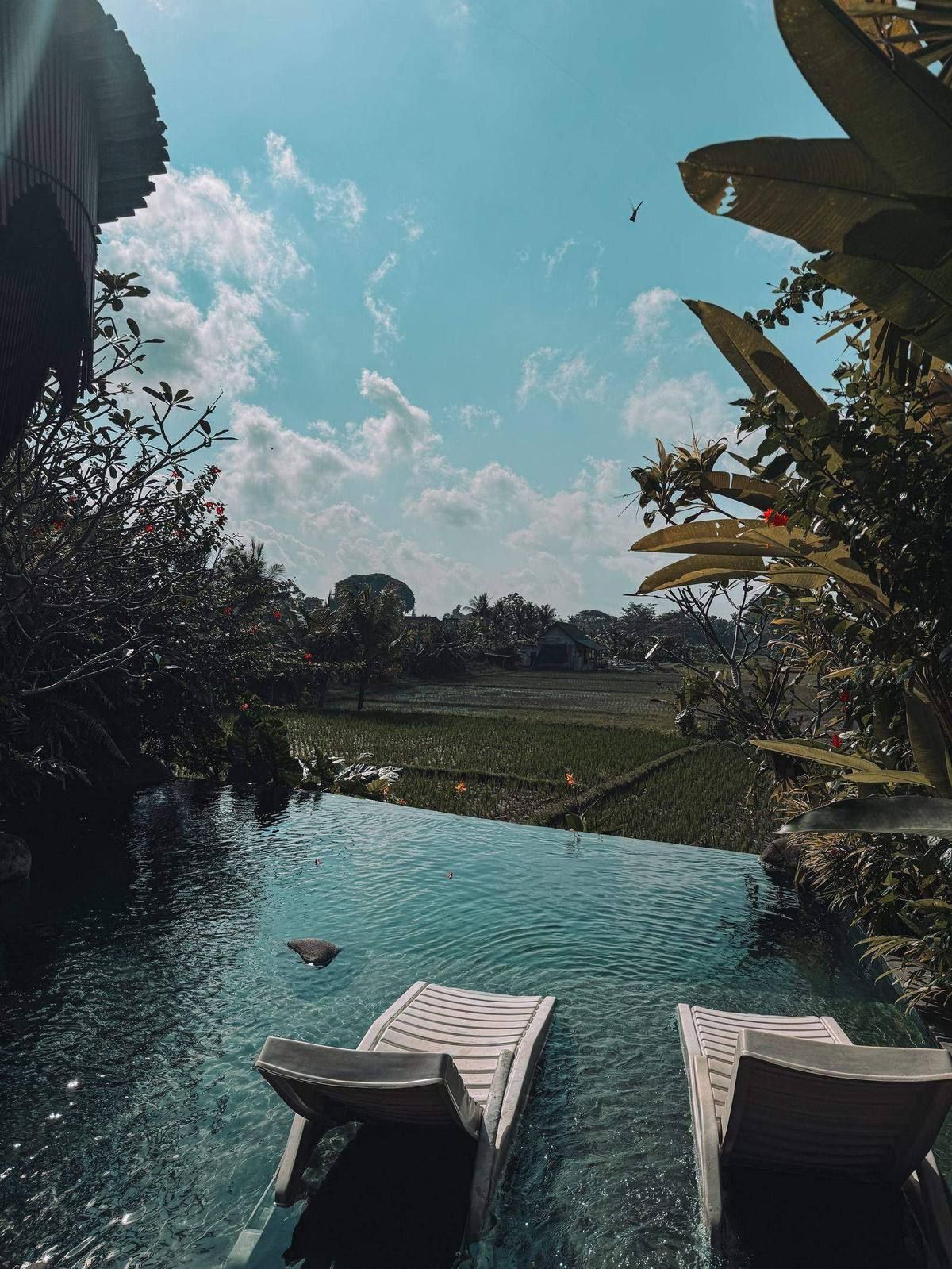Uma · Sun Lounger