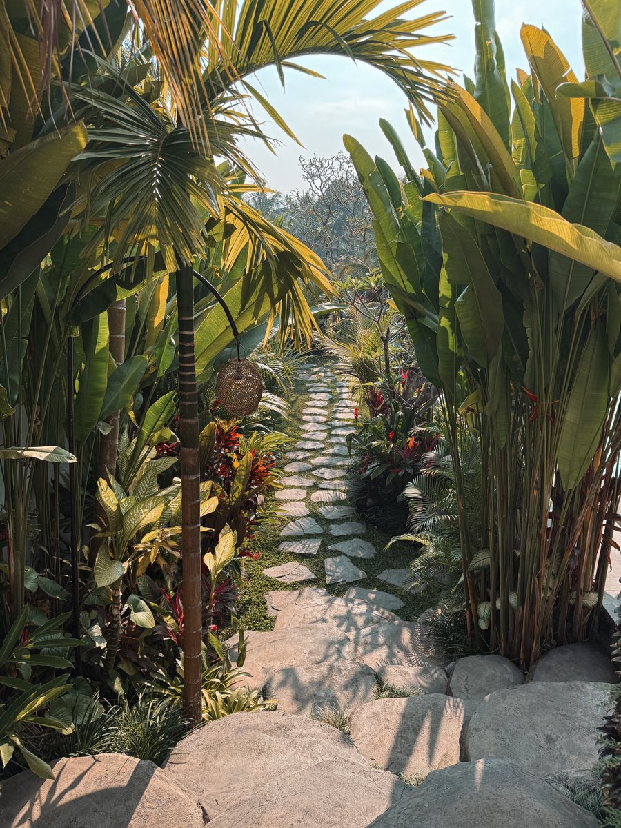 Allée de pierre serpentant entre les palmiers et les bananiers d'un jardin d'hôtel