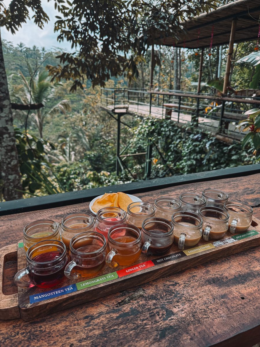Un plateau de dégustation de thés et de cafés balinais, face à la jungle