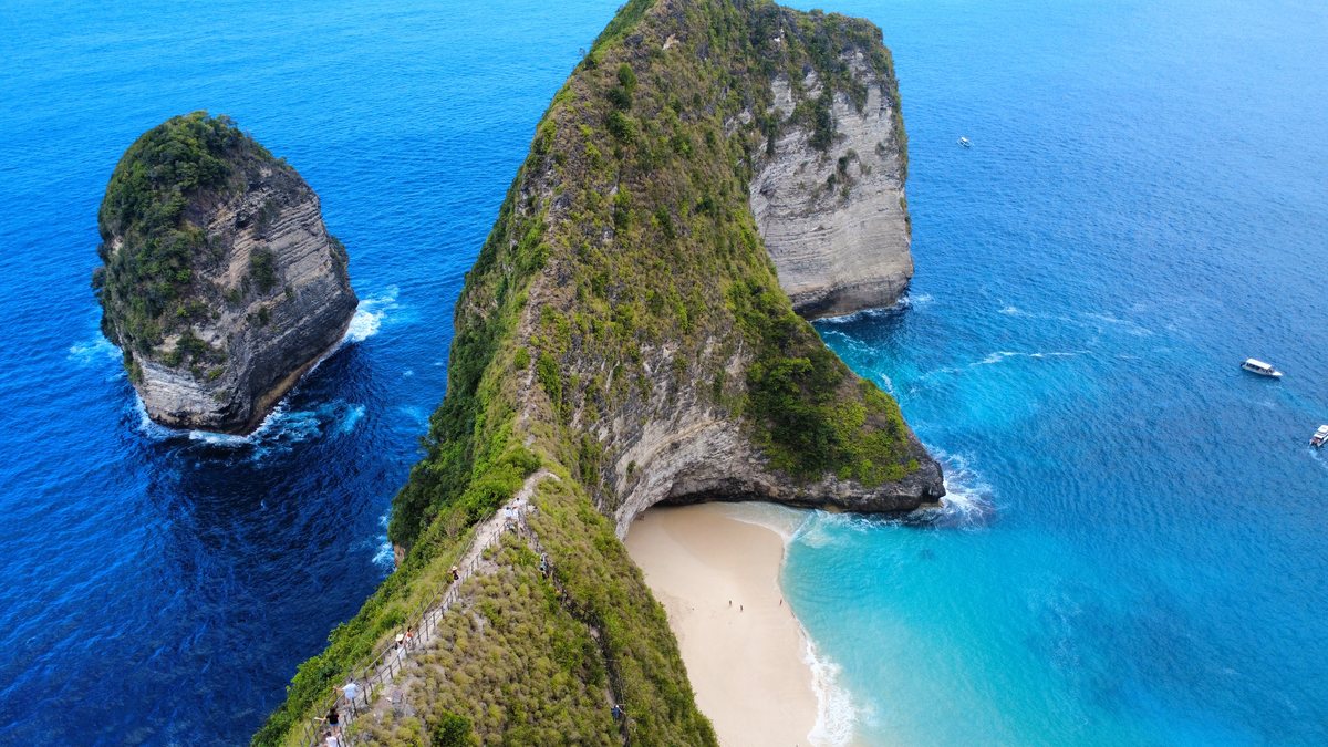 Kelingking Beach à Nusa Penida, falaise verte en forme de tête de dinosaure au dessus d'une plage de sable blanc