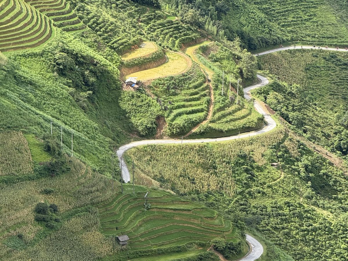 Route en lacets serpentant entre les rizières en terrasses de Ha Giang