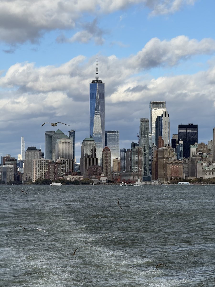 Les gratte ciel du sud de Manhattan vus depuis l'eau, mouettes en vol