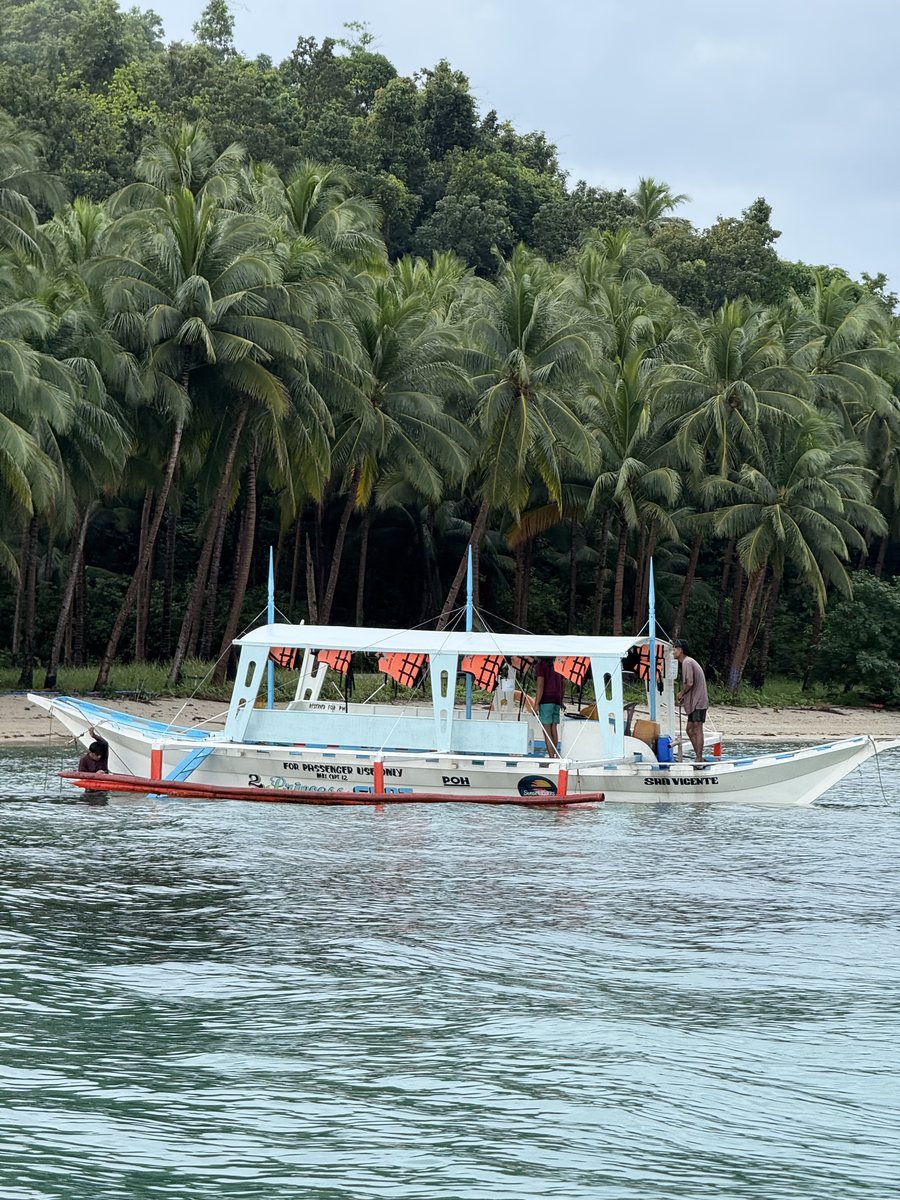 Bangka à balanciers au mouillage devant un rideau de cocotiers