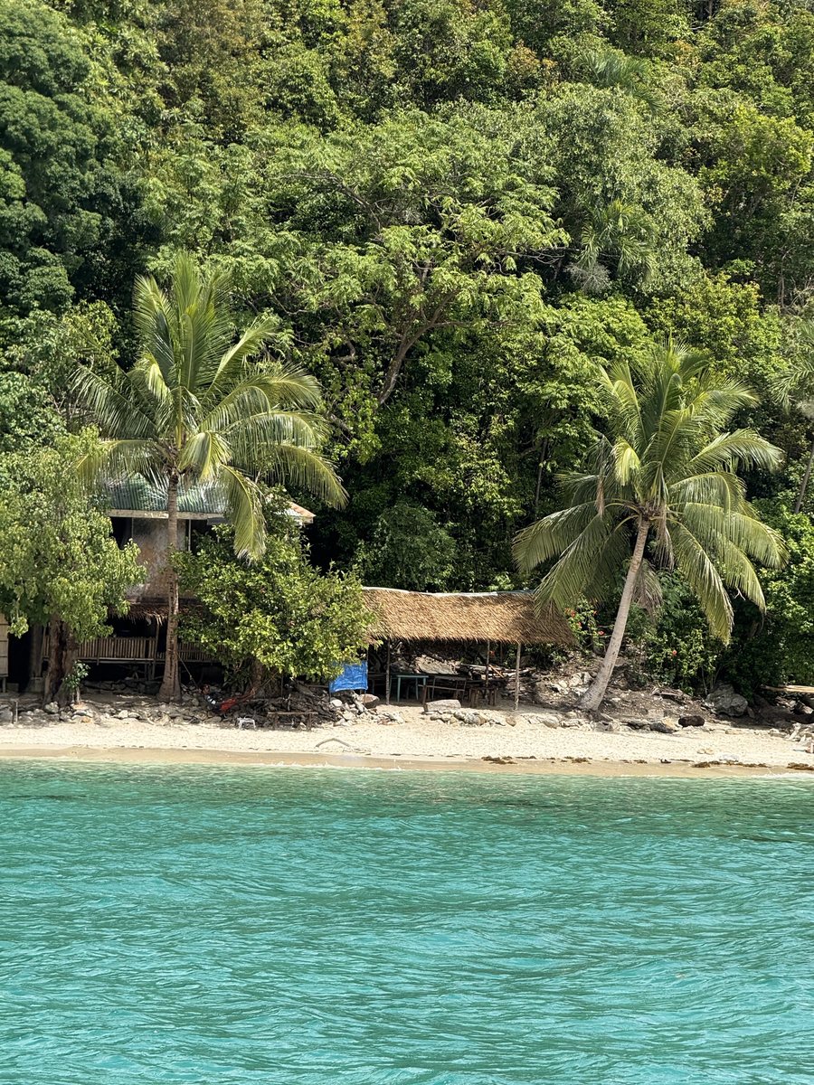 Cabane au toit de palme sous les cocotiers, au bord d'une eau turquoise