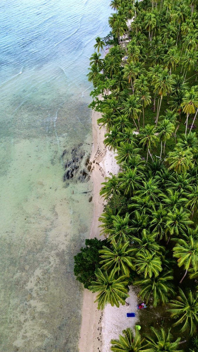 Côte de sable blanc plantée de cocotiers, avec le récif qui affleure, vue du ciel
