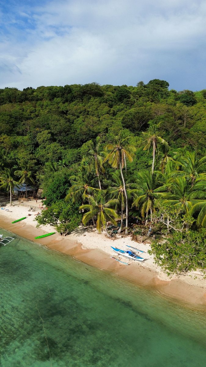 Plage bordée de cocotiers avec des bangkas tirés sur le sable, vue du ciel