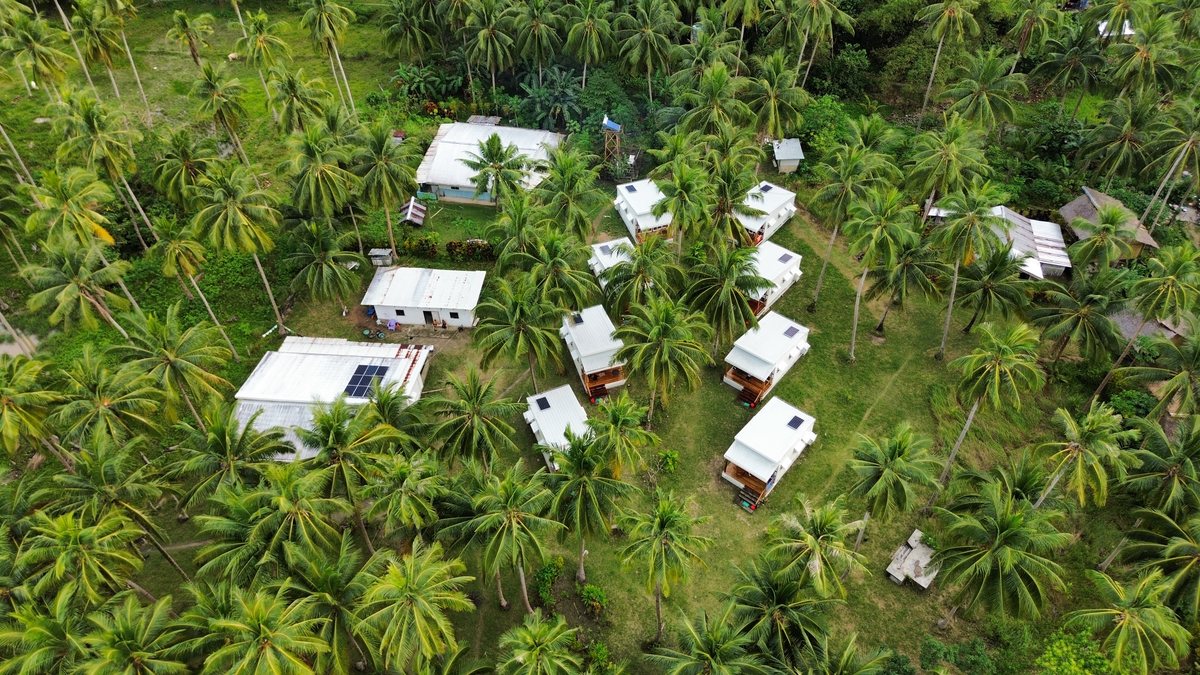 Maisons aux toits de tôle dispersées dans une cocoteraie, vues du ciel