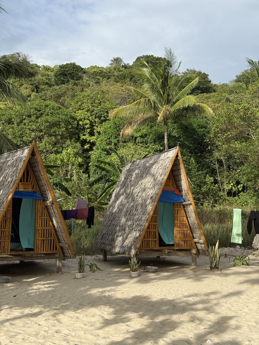 Deux huttes triangulaires en bambou posées sur le sable, devant la forêt