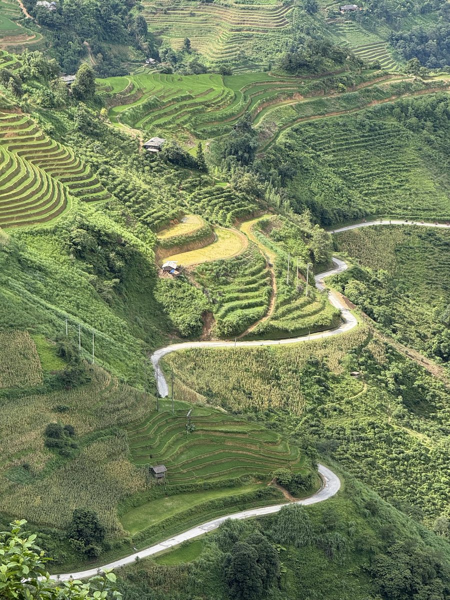 Route en lacets serpentant entre les rizières en terrasses de Ha Giang